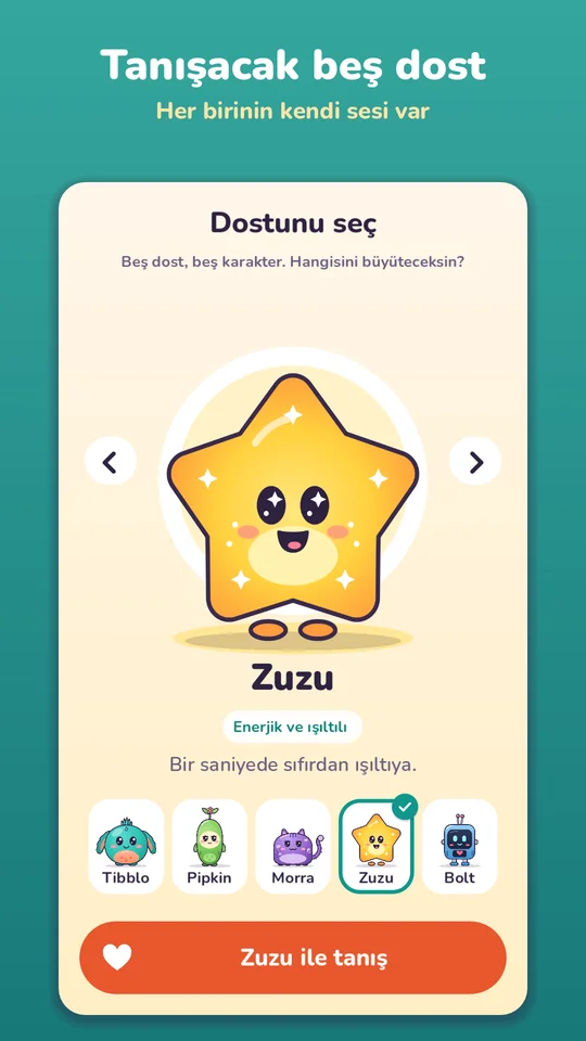 Sahiplenilecek beş dost